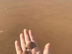 -青岛海泉湾皇冠假日度假酒店