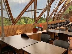 -怀托摩萤火虫洞