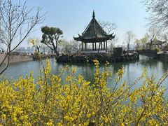 -无锡蠡湖国家湿地公园-蠡园