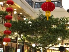 大堂-广州酒家(文昌总店)