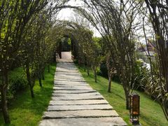 -七彩云南古滇温泉山庄