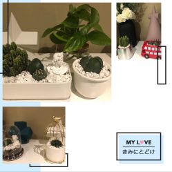 -MOE BEAUTY.皮肤管理中心