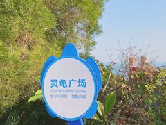-广东惠东海龟国家级自然保护区