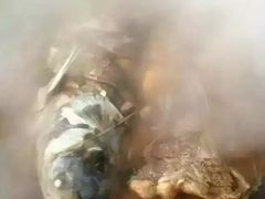 -庆岭迎宾园正宗活鱼馆