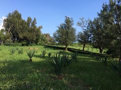 iphone_upload_pic-鹅銮鼻公园