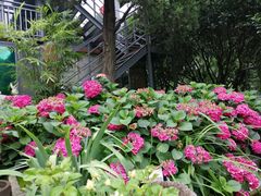 -谷咖啡·鲜花绿植花园餐厅