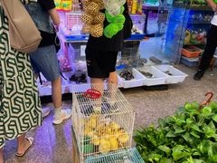 -双季花艺园艺市场(浦东店)