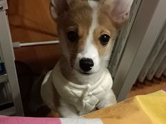 -美迦爱-牙专科·兔科·骨科诊疗中心(北苑店)