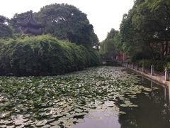 -丝绸小镇荻港古村