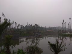 -枫香湖儿童公园