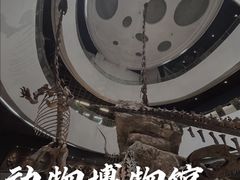 -昆明动物博物馆
