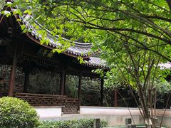 -十八棵（老龙井）御茶园(老龙井店)