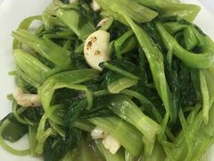 -新陶陶酒家