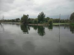 -才村湿地公园
