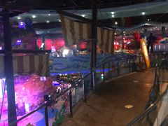 -青岛嘉年华主题乐园