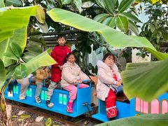 -呀路古热带植物园