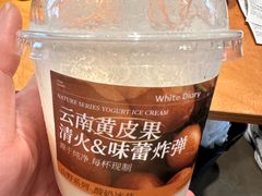 -白色日记·手作酸奶(麦凯乐店)