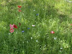 -野鸭湖国家湿地公园
