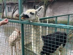 -宁波野生动物园