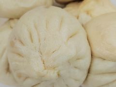 猪肉大葱俩-京天红酒家(虎坊路店)