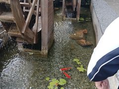 -广州白江湖森林公园