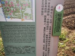 -柳鹭田园区