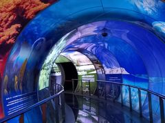 -房山世界地质公园博物馆