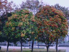 -白塘生态植物园