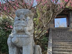 -隔壁老王·家常云南菜(皇冠店)