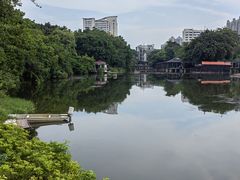 -荔湾湖公园
