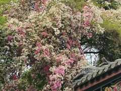 -深圳国际园林花卉博览园