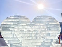 -沈阳奥体冰雪嘉年华
