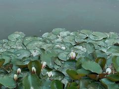 -宝鸡植物园