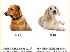 -爱妮康宠物医院·干细胞免疫细胞·肿瘤·心脏(张江店)