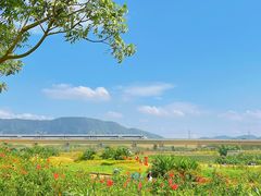 -光明小镇欢乐田园