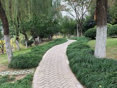 -后襄河公园