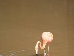 -鄂尔多斯野生动物园