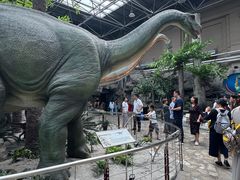 -国家自然博物馆