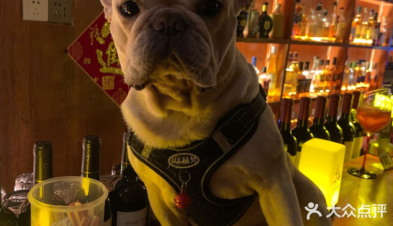 深夜放松一杯酒