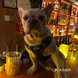深夜放松一杯酒