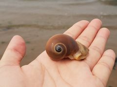 -北戴河东海水浴场