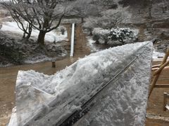 -岚山猴子公园