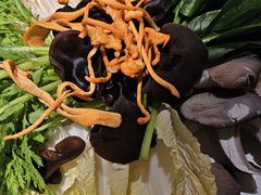 -丽江龙继斑鱼庄(成仁店)
