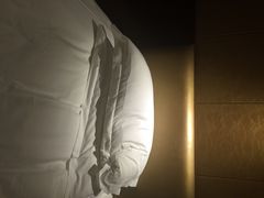 丰大国际大酒店-合肥丰大国际大酒店