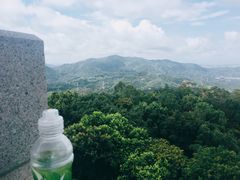 -水濂山森林公园