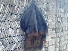 -鄞州雪菜博物馆