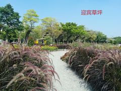 -映月湖公园