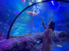 -沈阳海洋探索中心