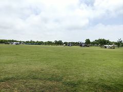 -春花秋色城市公园