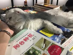 -小时光咖啡馆(开森度假森林店)